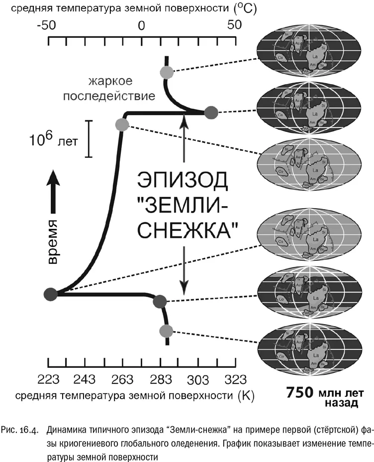 Главным событием эдиакария нельзя не добавить с нашей антропоцентричной точки - фото 107