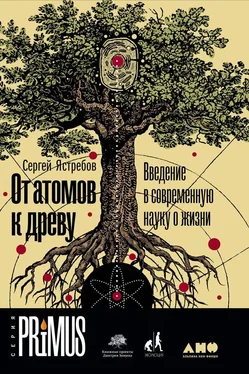 Сергей Ястребов От атомов к древу. Введение в современную науку о жизни обложка книги