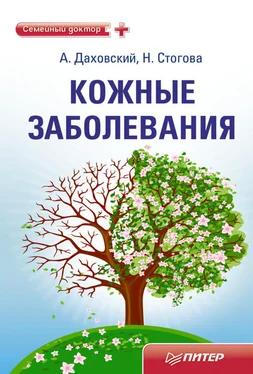 Надежда Стогова Кожные заболевания обложка книги