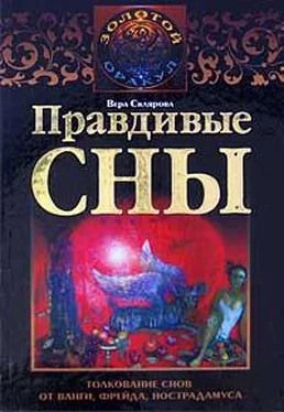 Вера Склярова Правдивые сны. Толкование снов от Ванги, Фрейда, Нострадамуса обложка книги