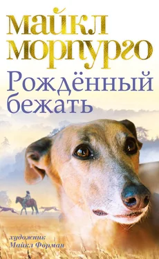 Майкл Морпурго Рожденный бежать обложка книги