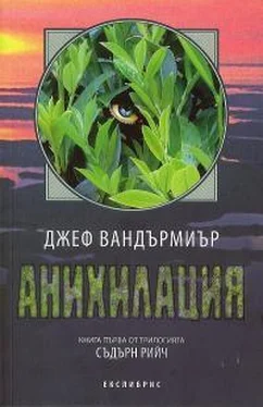 Джефф Вандермеер Анихилация обложка книги