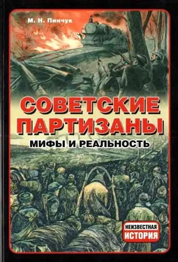 Михаил Пинчук Советские партизаны обложка книги