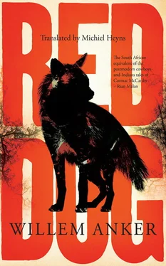 Willem Anker Red Dog: A Frontier Novel обложка книги