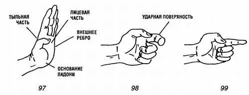 6 ХУ ЧЖАО КОГТИ ТИГРА Пять пальцев естественно раскрыты в первом и во - фото 14