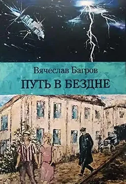 Вячеслав Багров Путь в бездне обложка книги
