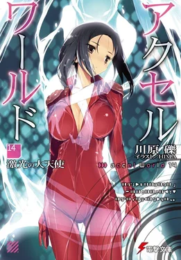 Рэки Кавахара Accel World 14: Архангел неистового света