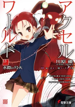 Рэки Кавахара Accel World 13: Пылающий огонь у водной глади обложка книги