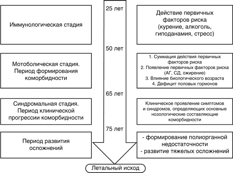 Рисунок 9 Этапы формирования коморбидной п атологии Подобный подход отражен в - фото 9