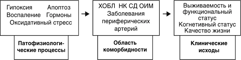 Рисунок 10 Коморбидность как промежуточный фактор между патофизиологическими - фото 10