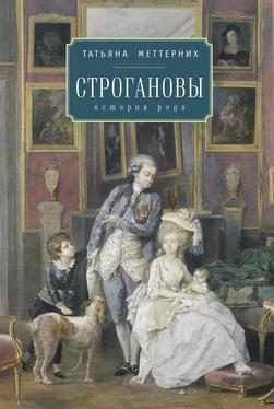 Татьяна Меттерних Строгановы: история рода обложка книги