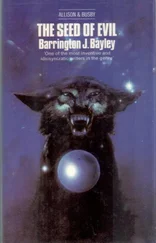 Баррингтон Бейли - Идеальная любовь