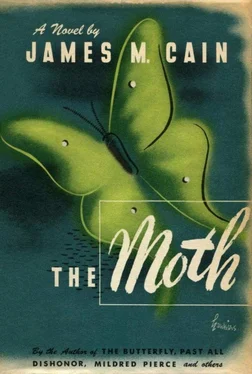 Джеймс Кейн The Moth обложка книги