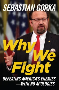 Sebastian Gorka Why We Fight: Why We Fight: Defeating America's Enemies - With No Apologies обложка книги