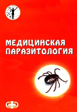 Давид Генис Медицинская паразитология обложка книги