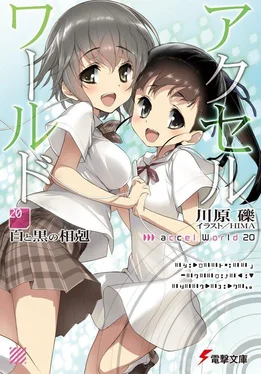 Рэки Кавахара Accel World 20: Противостояние белых и черных обложка книги