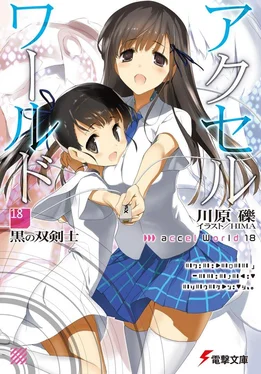 Рэки Кавахара Accel World 18: Черный мечник с двумя клинками обложка книги