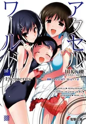 Рэки Кавахара - Accel World 10 - Элементы