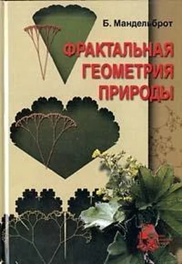 Бенуа Мандельброт Фрактальная геометрия природы обложка книги