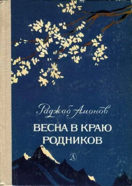 Раджаб Амонов Весна в краю родников обложка книги