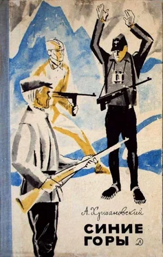Андрей Хршановский Синие горы обложка книги