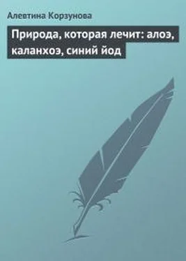 Алевтина Корзунова Природа, которая лечит: алоэ, каланхоэ, синий йод обложка книги