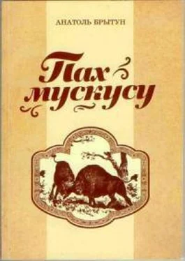 Анатоль Брытун Пах мускусу [журнальный вариант] обложка книги