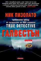 Ник Пиццолато - Галвестън