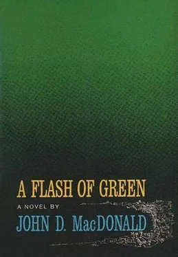 Джон Макдональд A Flash of Green