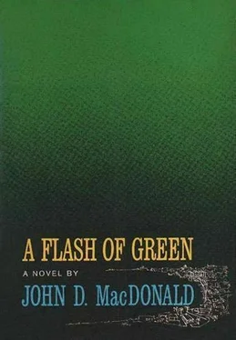 Джон Макдональд A Flash of Green обложка книги