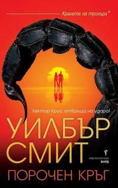 Уилбур Смит Порочен кръг обложка книги