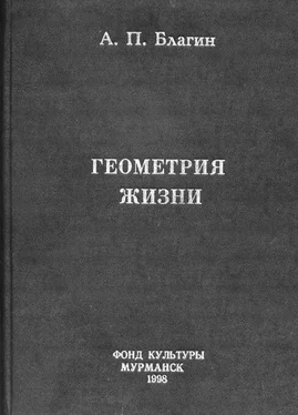 Антон Благин Геометрия жизни обложка книги