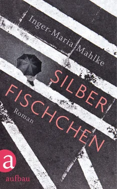 Inger-Maria Mahlke Silberfischchen обложка книги