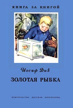 Иосиф Дик Золотая рыбка обложка книги