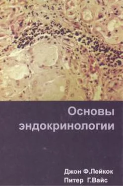 Джон Лейкок Основы Эндокринологии обложка книги