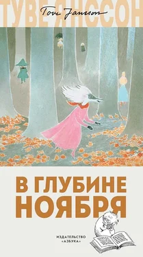 Туве Янссон В глубине ноября обложка книги