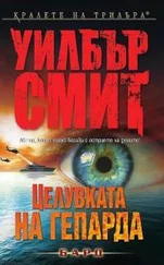 Уилбур Смит - Целувката на гепарда