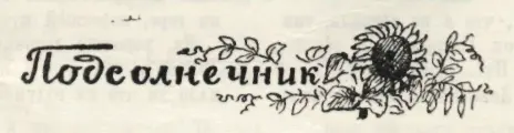 Подсолнечник Никто не сажал и не сеял его Откуда он взялся на грядке Он - фото 11