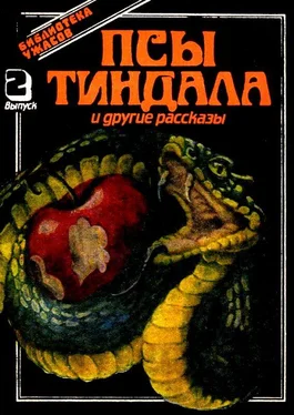 Розмари Тимперли Псы Тиндала и другие рассказы обложка книги