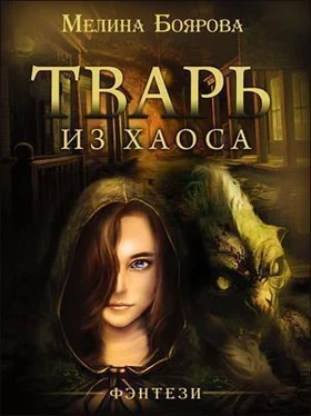 Мелина Боярова Тварь из Хаоса [СИ] обложка книги