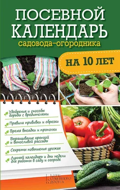 Руслан Герасимов Посевной календарь садовода-огородника на 10 лет обложка книги