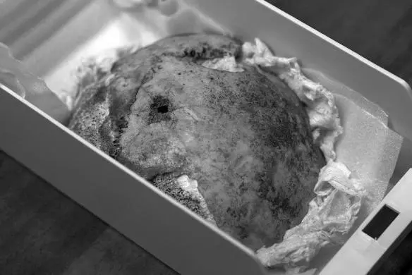 Fragment of the top portion of a skull discovered outside the Führerbunker in - фото 2
