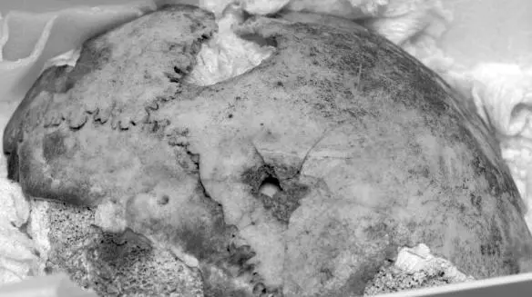 Photo 2 A closeup of the fragment of the top of the cranium stored at GARF in - фото 34