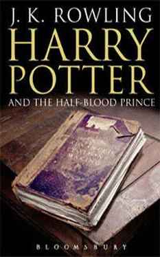 J. Rowling Harry Potter and the Half-Blood Prince обложка книги