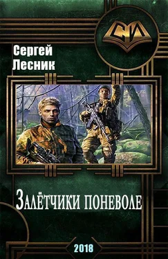 Сергей Лесник Залётчики поневоле (СИ) обложка книги