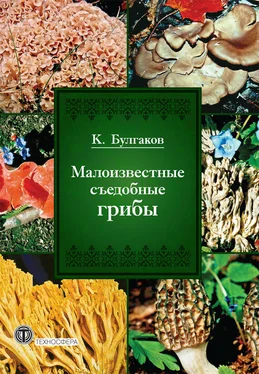 Касим Булгаков Малоизвестные съедобные грибы обложка книги