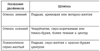 Таблица 3 - фото 12
