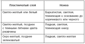 Если съели не тот гриб грибные отравления первая помощь пострадавшему В - фото 14