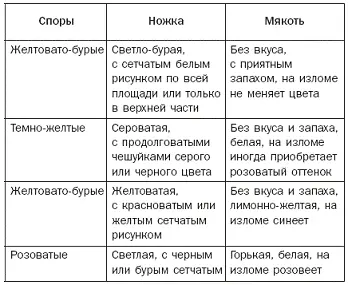 Таблица 2 - фото 6
