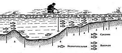 Поиск перспективных мест на новом для рыбака водоёме занятие долгое и - фото 28